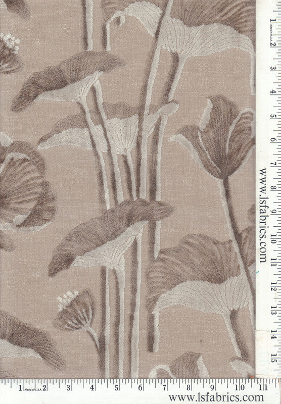 Vander-Taupe