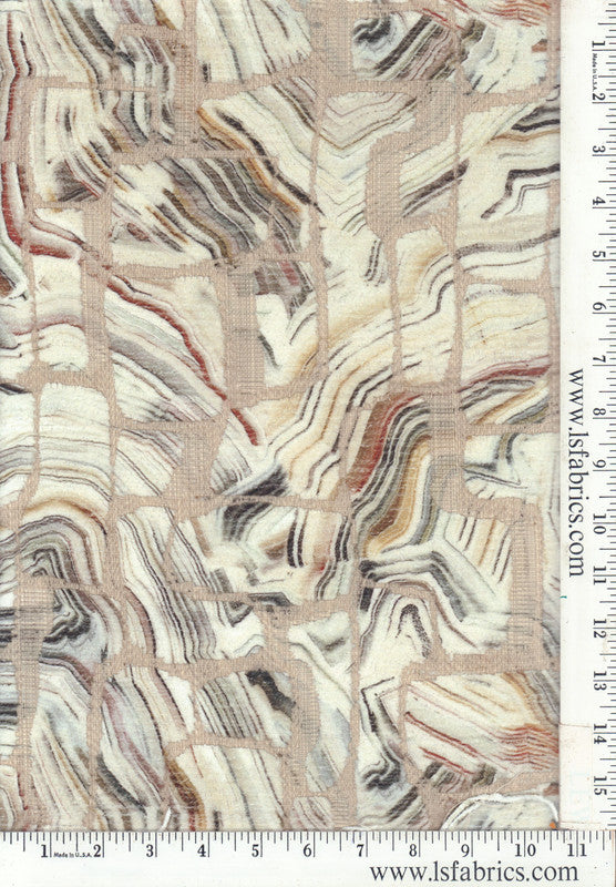 Morela, Fossil