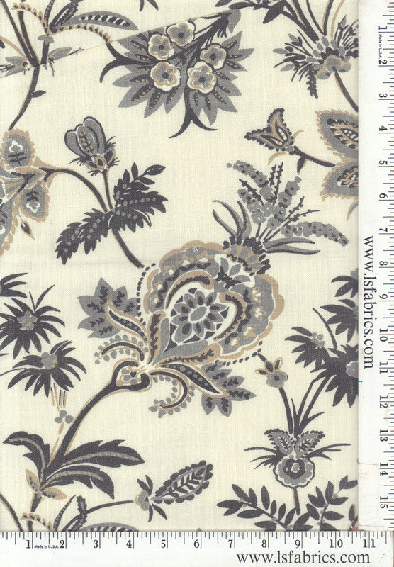 SP. Glosinda        , Oyster