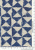 Sp. Triana, Indigo