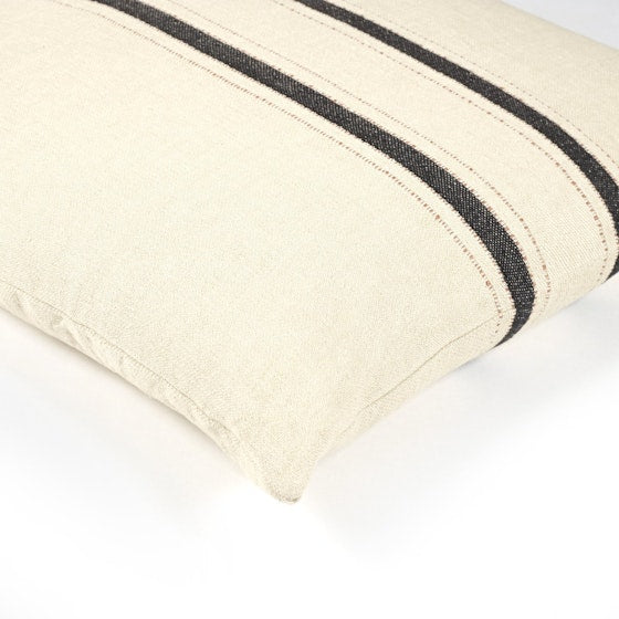 The Patagonian Stripe: Pillow cover
