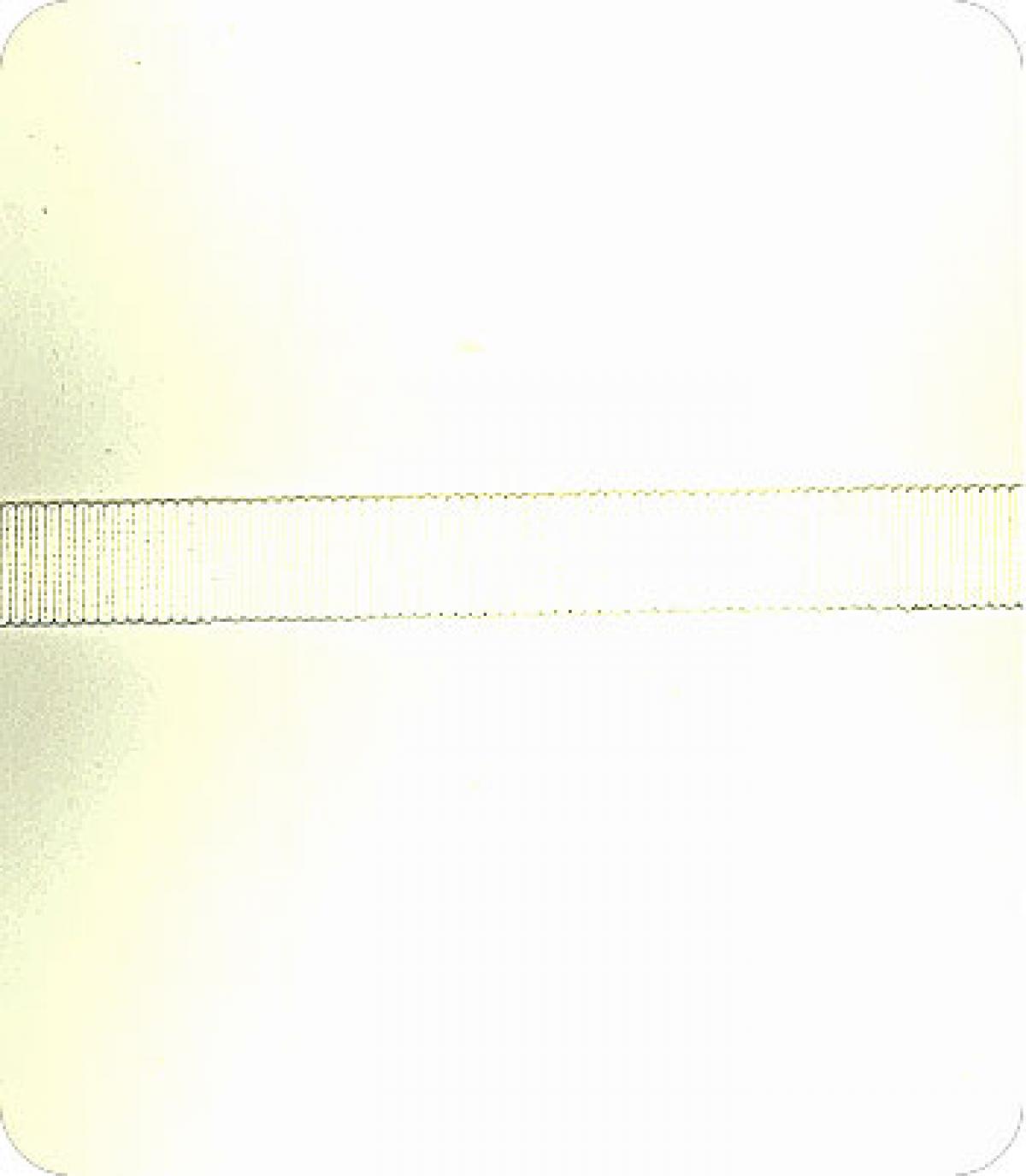 Swatch - 917-00851/15mm